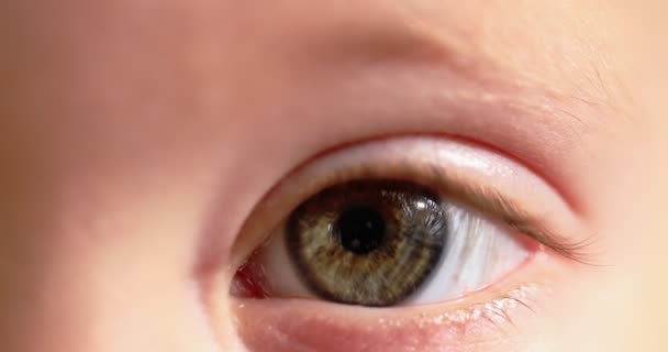 Close Van Een Babys Bruin Oog Het Ooglid Knippert Meerdere — Stockvideo