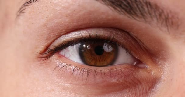 Zbliżenie Dziewczyny Brązowe Oko Powieka Mruga Kilka Razy Oko Oko — Wideo stockowe
