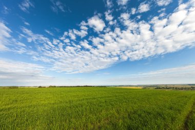 Yeşil Alan ve Güzel Gün Batımı.
