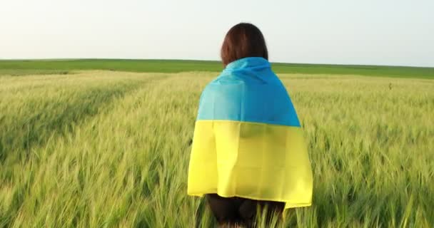 Uma Jovem Grávida Corre Alegremente Através Campo Trigo Com Bandeira — Vídeo de Stock