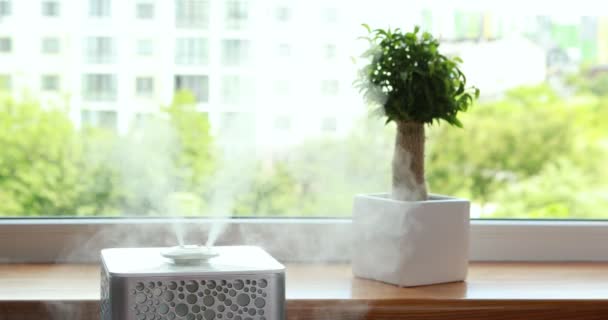 家のための加湿器は 乾燥した空気に湿気を加える 家庭用加湿器の水ミスト蒸気 — ストック動画