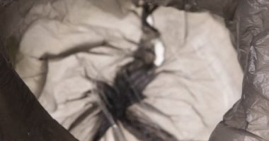 Plastik şişeler çöp torbasına atılmaya hazır. konsept sıfır atık, ekolojik dost.