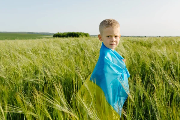 Niño Pequeño Con Bandera Ucraniana Campo Trigo Niño Feliz Celebrando —  Fotos de Stock