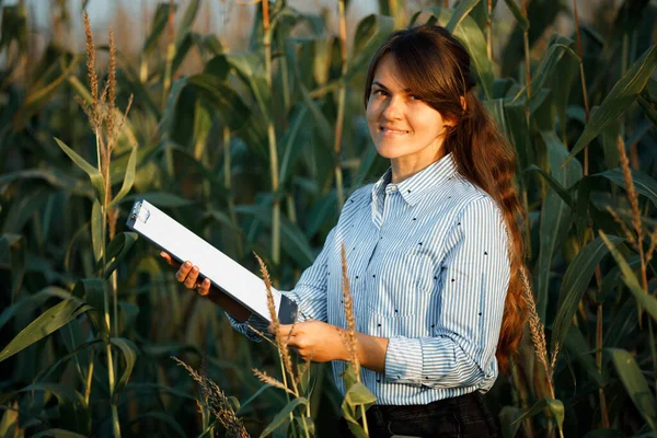 Mooi Meisje Agronomist Met Notitieboek Analyseert Maïs Gewas — Stockfoto