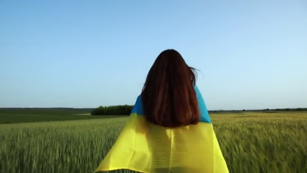 Ung Gravid Flicka Glatt Löper Genom Ett Vetefält Med Ukrainas — Stockvideo