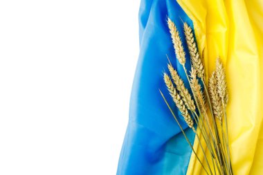 Ukrayna bayrağında buğday kulakları. Ukrayna 'nın sembolleri. Mavi ve sarı renkler. Yakın çekim, arkaplan