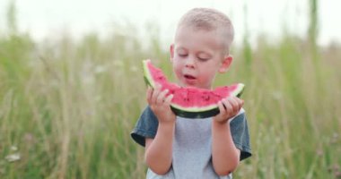 Happy childhood concept. Boy eating watermelon slices sunny summer day. High quality 4k footage