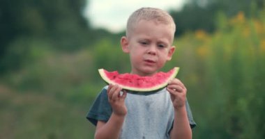 Happy childhood concept. Boy eating watermelon slices sunny summer day. High quality 4k footage
