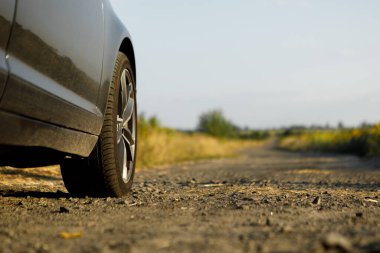 Ayçiçeği tarlasında toprak bir yolda araba ve güneş ışığıyla buğday.