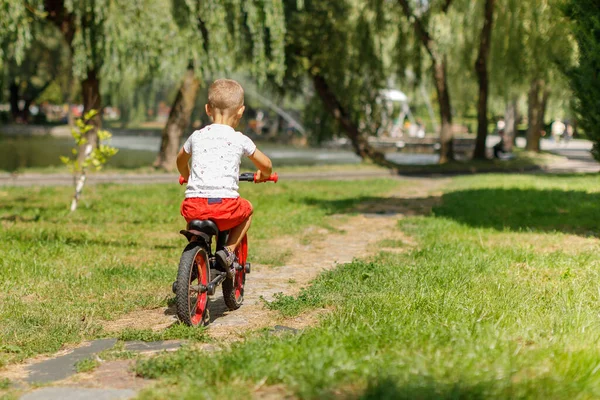 공원에서 자전거를 — 스톡 사진