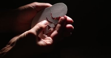 embryo silhouette in woman hand. new life. High quality 4k footage