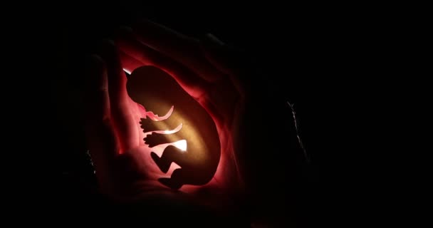 Embryo Silhouette Woman Hand New Life High Quality Footage — Stockvideo