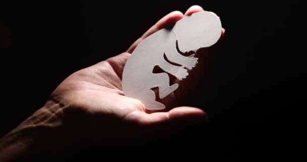 Embryo Silhouette Woman Hand New Life High Quality Footage — Stockvideo
