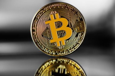 Hisse senedi fiyat tablosuna karşı altın bitcoin