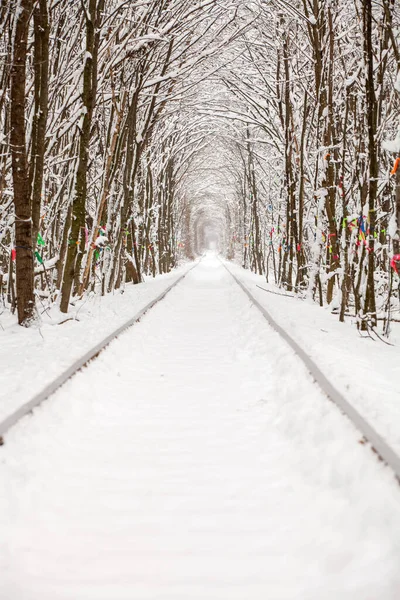 Järnväg Vinterskogstunneln Kärlek — Stockfoto