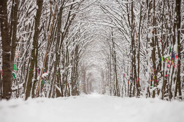 Chemin Fer Dans Tunnel Amour Forêt Hivernale — Photo