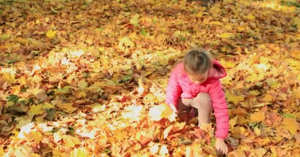 Erkek Kız Kardeşler Sonbahar Parkında Akçaağaç Yapraklarıyla Oynuyorlar Yüksek Kalite — Stok video