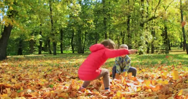 Erkek Kız Kardeşler Sonbahar Parkında Akçaağaç Yapraklarıyla Oynuyorlar Yüksek Kalite — Stok video