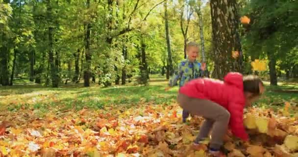 Geschwister Spielen Mit Ahornblättern Herbstpark Hochwertiges Filmmaterial — Stockvideo