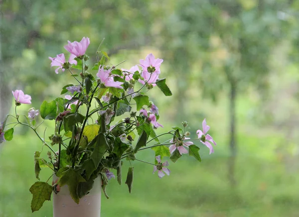 Bloemen in een vaas — Stockfoto