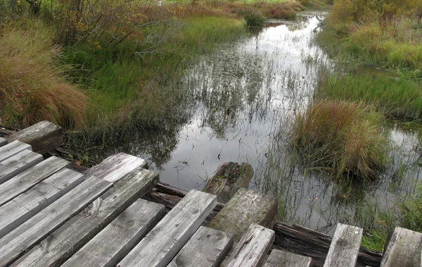 Old wooden bridge — Stock Photo, Image