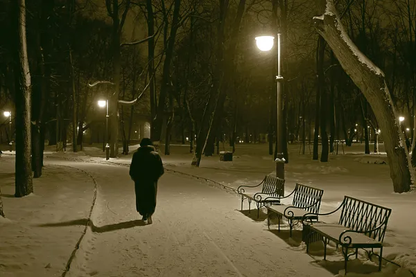 Noche de invierno — Foto de Stock