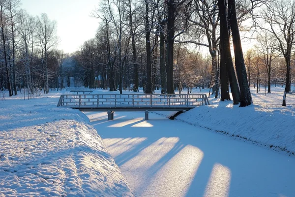 Vinterparken — Stockfoto