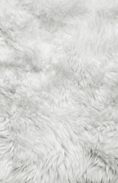 White fur background