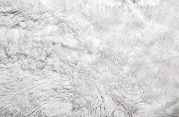 White fur background — Stock Photo, Image