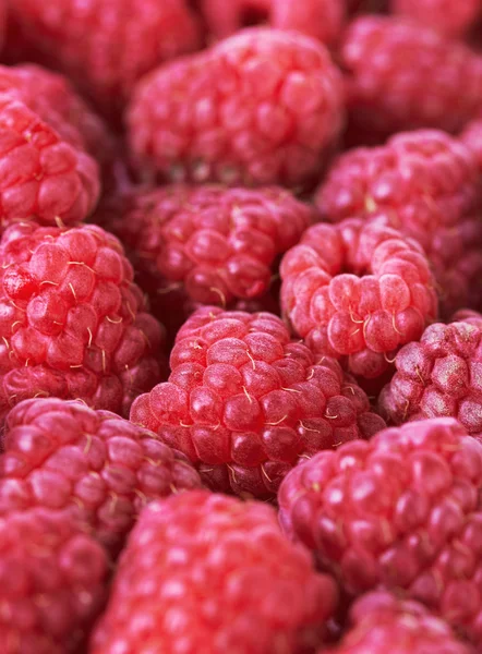 Framboises fraîches douces — Photo