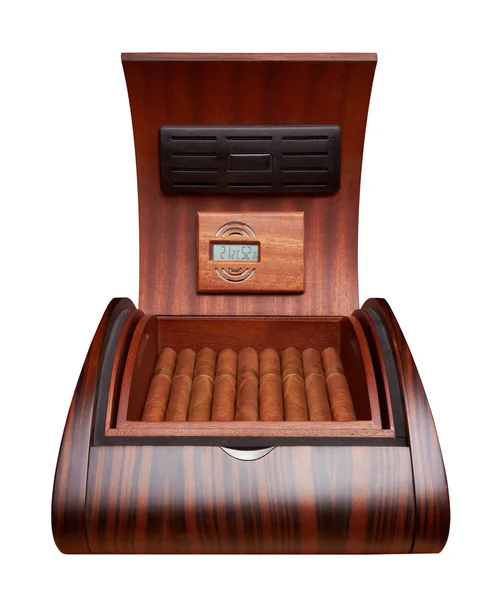 Geöffneter Humidor mit Zigarren — Stockfoto