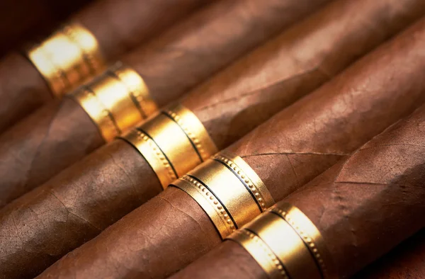 Close up of cigars — Stock Photo, Image