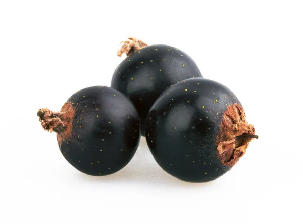 Berry of blackcurrant — Stock Photo, Image