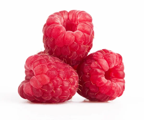 Ripe red raspberry — Stock Photo, Image