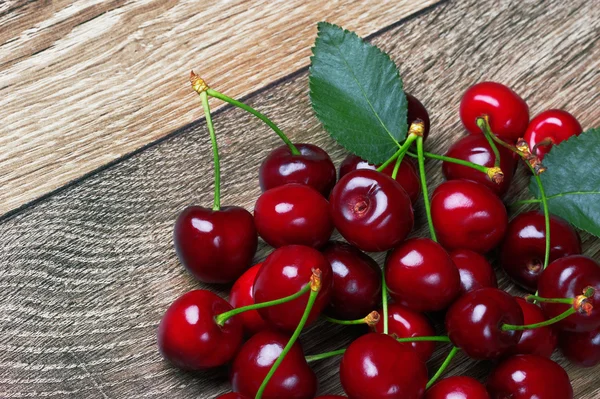 Cherry bij blad — Stockfoto