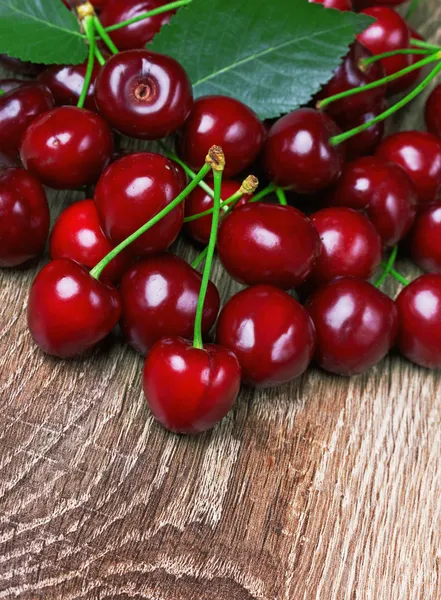 Cherry s listy — Stock fotografie