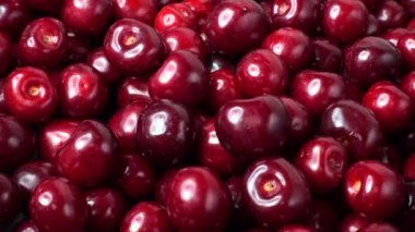 Taze kırmızı kiraz dönüşümlü, yakın çekim 4K video. Bir sürü sulu olgun kiraz.