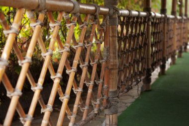 Bambu çit