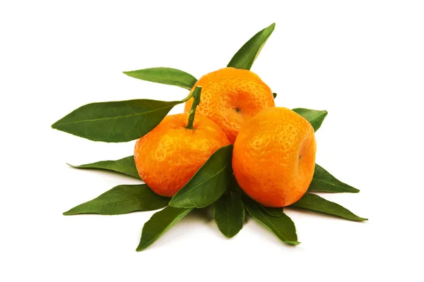 Tangerine з сегментами — стокове фото