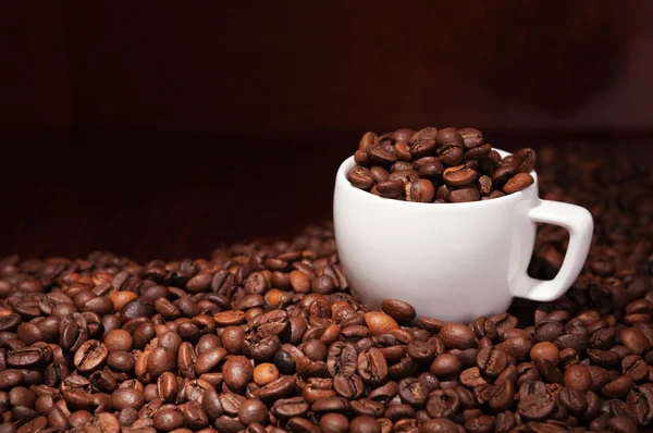 Coffee — Stock Photo, Image