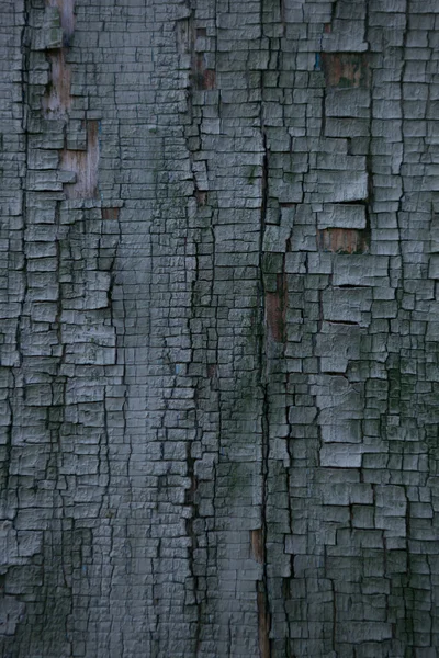 Alte Holz lackierte Oberfläche — Stockfoto