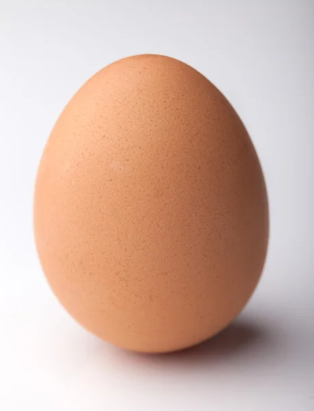 棕色的鸡鸡蛋 — 图库照片