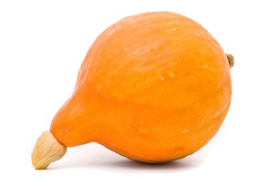 beyaz arkaplanda balkabağı