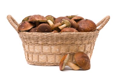 Beyaz bir arka plan üzerinde izole mantar sepeti