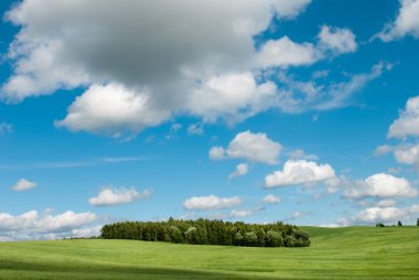 yeşil tarla ve mavi gökyüzü