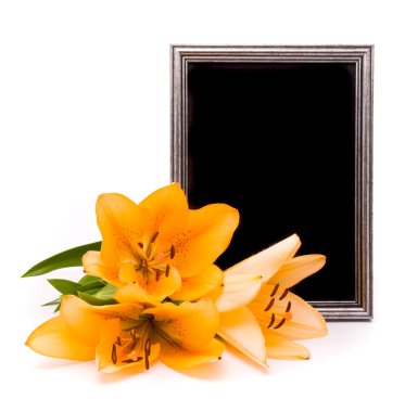 Beyaz arkaplanda sarı zambaklar ve gümüş çerçeve