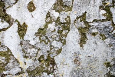 Grunge doku eski duvar