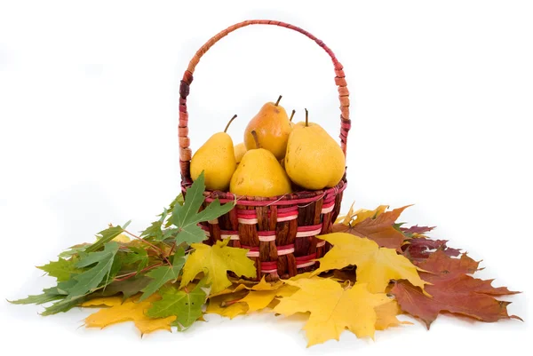 Ripe pears in a basket on a white background — Stock Photo, Image