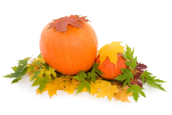 Kürbisse mit Herbstblättern auf weißem Hintergrund — Stockfoto