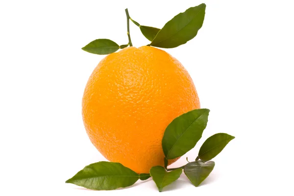 Naranja maduro con hojas aisladas sobre un fondo blanco —  Fotos de Stock